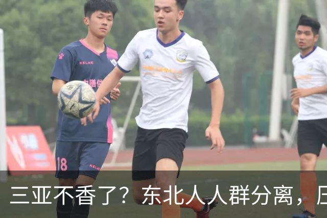 三亚不香了？东北人人群分离，压垮他们的不是物价，而是生活现实