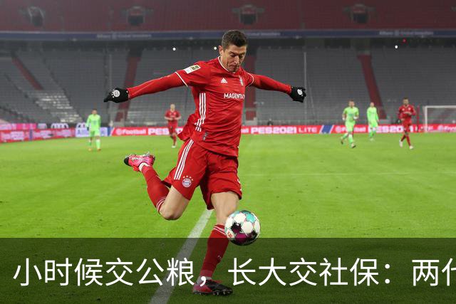 小时候交公粮，长大交社保：两代人的账，其实是一本账