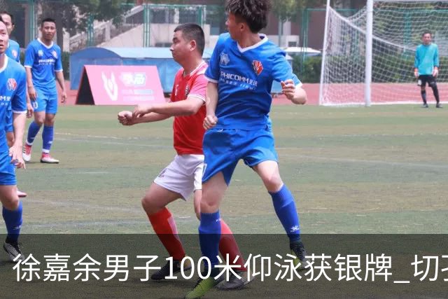 徐嘉余男子100米仰泳获银牌 切孔夺金