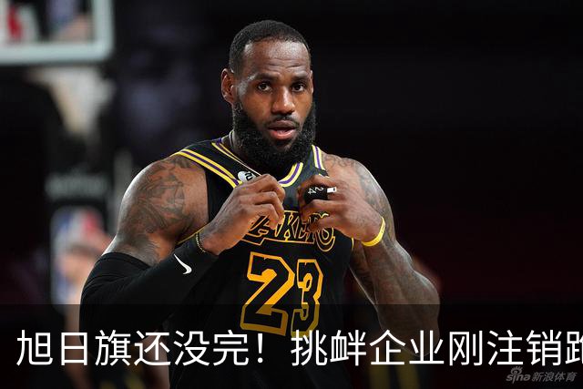 旭日旗还没完！挑衅企业刚注销跑路，又揪出5个跟风“一起披”的