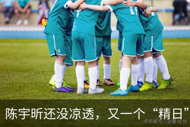 陈宇昕还没凉透，又一个“精日”人员被揪出来，竟然还是企业老板