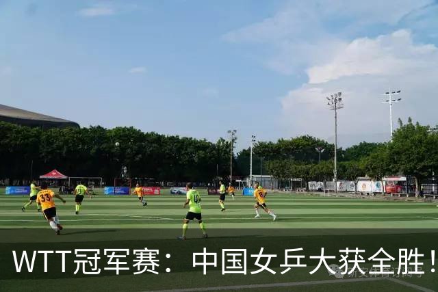 WTT冠军赛：中国女乒大获全胜！16强占6个席位，陈幸同剃对手光头